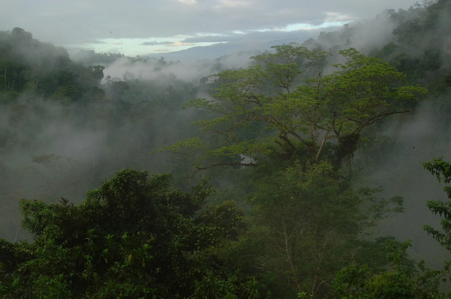 Highland coffee country · Costa Rica
